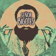 Señorbigotes