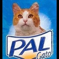 Pal Gato