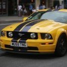 Mustang24