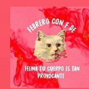 tu gatita