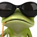 anfybiio