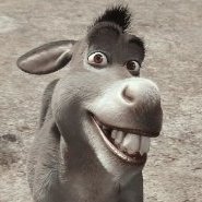 Burrodeshrek