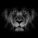 El Leon de Manquehue