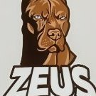 Zeus666