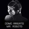 Mr.Roboto
