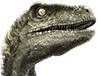 El_VelociRaptor